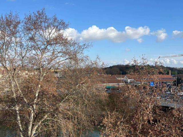 Appartamento in affitto a Roma RM