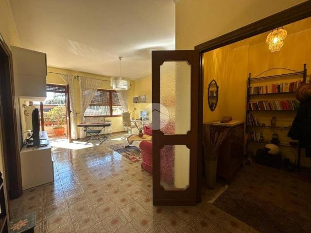 Appartamento in affitto a Roma RM