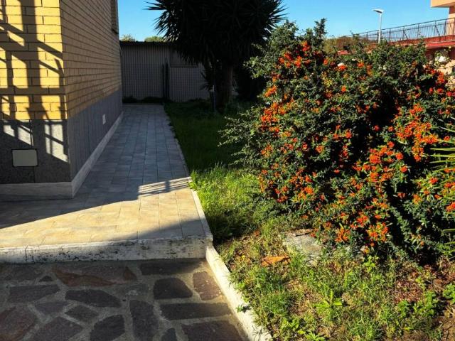 Appartamento in affitto a Roma RM
