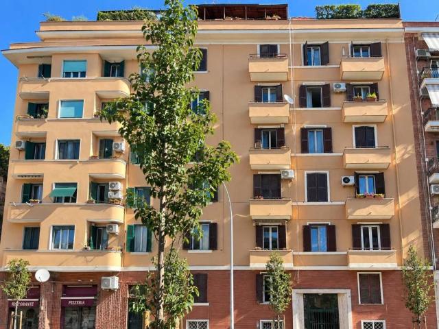 Appartamento in affitto a Roma RM