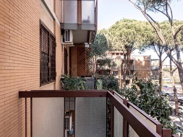 Appartamento in affitto a Roma RM
