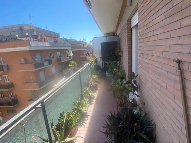 Appartamento in affitto a Roma RM