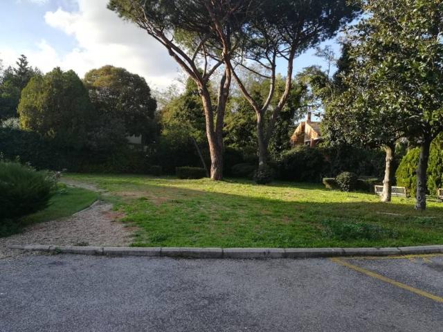 Appartamento in affitto a Roma RM