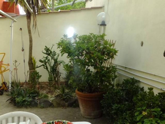 Appartamento in affitto a Roma RM