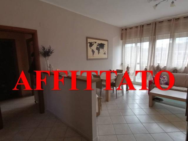 Appartamento in affitto a Roma RM
