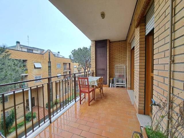 Appartamento in affitto a Roma RM