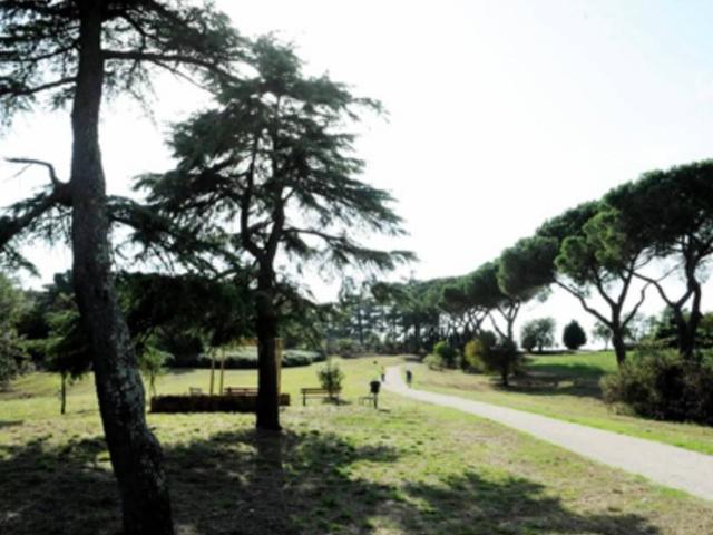 Appartamento in affitto a Roma RM