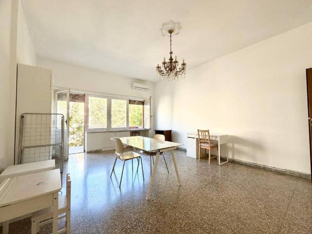Appartamento in affitto a Roma RM