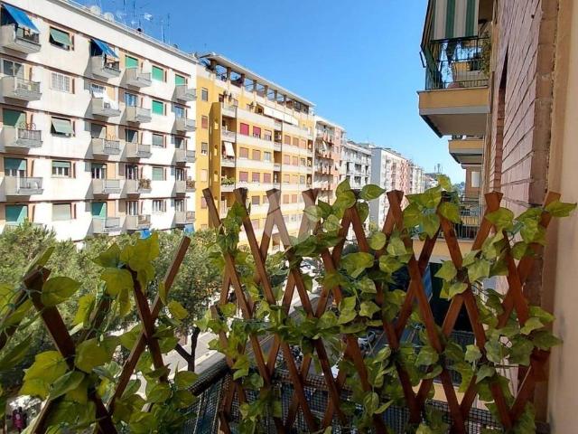 Appartamento in affitto a Roma RM