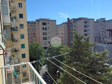 Appartamento in affitto a Roma RM