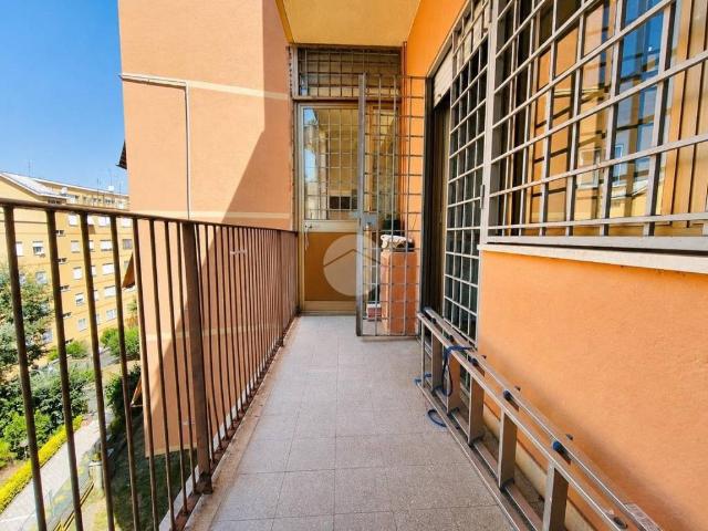 Appartamento in affitto a Roma RM