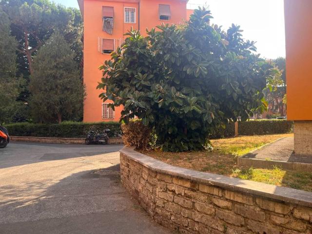 Appartamento in affitto a Roma RM