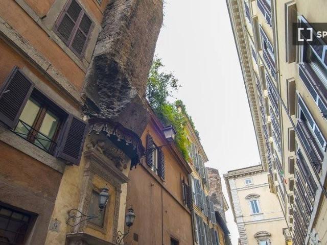 Appartamento in affitto a Roma RM
