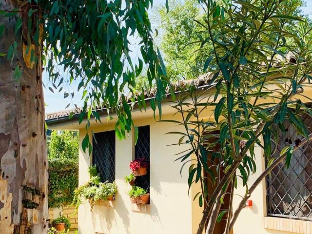 Appartamento in affitto a Roma RM