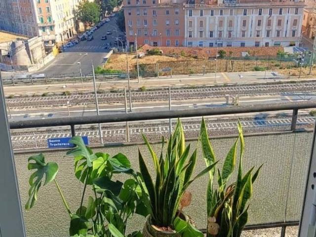 Appartamento in affitto a Roma RM