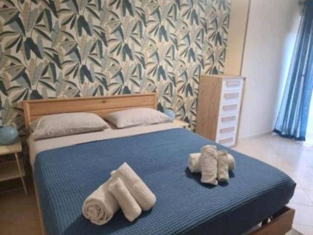 Appartamento in affitto a Roma RM