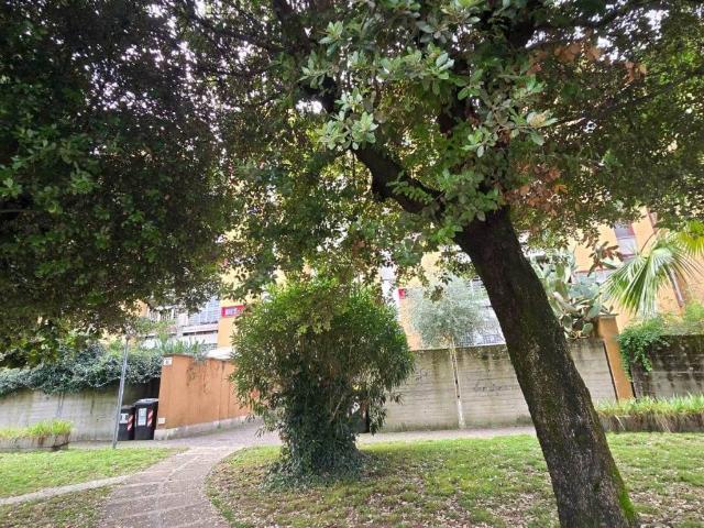 Appartamento in affitto a Roma RM