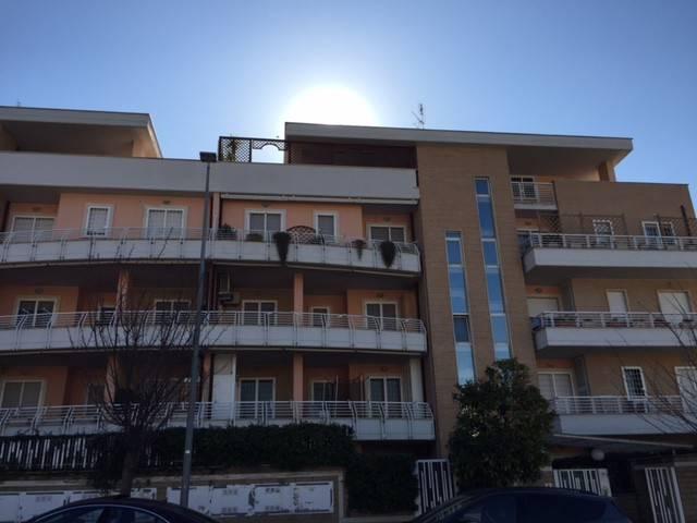 Appartamento in affitto a Roma RM