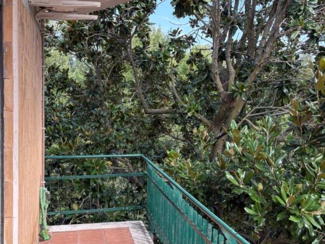 Appartamento in affitto a Roma RM