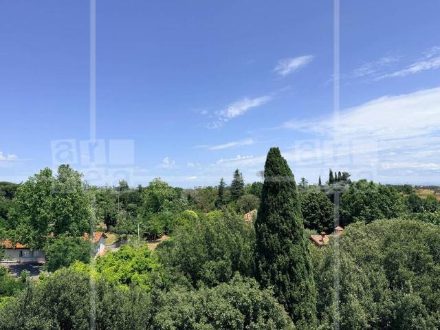 Appartamento in affitto a Roma RM
