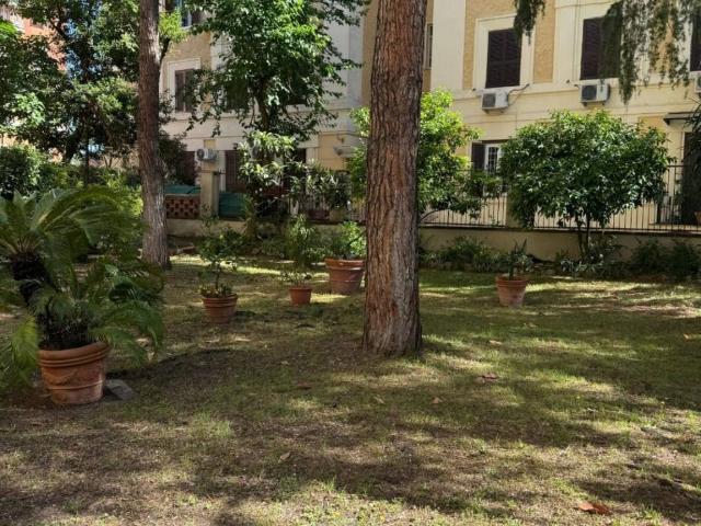 Appartamento in affitto a Roma RM