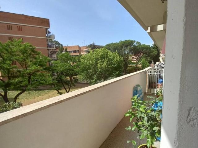 Appartamento in affitto a Roma RM