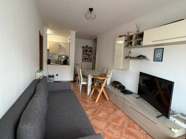 Appartamento in affitto a Roma RM