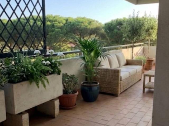 Appartamento in affitto a Roma RM