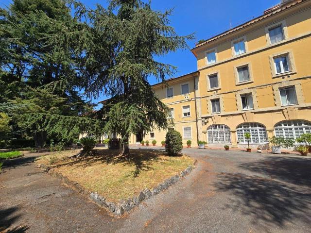 Appartamento in affitto a Roma RM