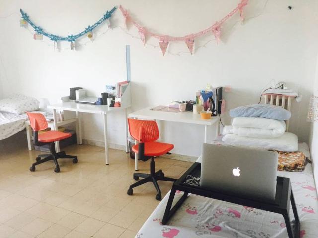 Appartamento in affitto a Roma RM