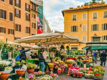 Appartamento in affitto a Roma RM