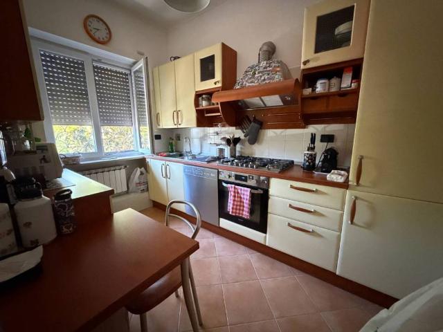 Appartamento in affitto a Roma RM