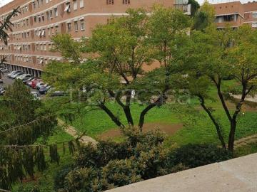 Appartamento in affitto a Roma via Mario Mona, 21, arredato, terrazzo, ristrutturato TrovaCasa