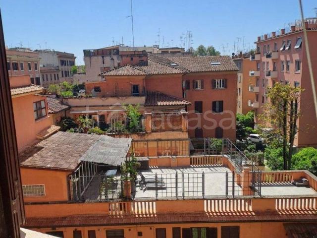 Appartamento in affitto a Roma via Nicola Fabrizi, ristrutturato, cucina a vista TrovaCasa