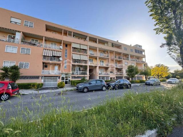 Appartamento in affitto a Roma via Vito la Mantia, arredato, terrazzo, ascensore TrovaCasa
