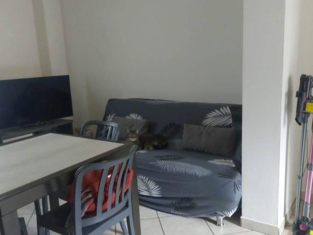 Appartamento in affitto a Romanengo CR