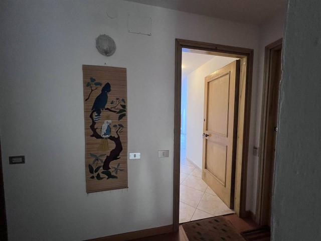 Appartamento in affitto a Rosignano Marittimo
