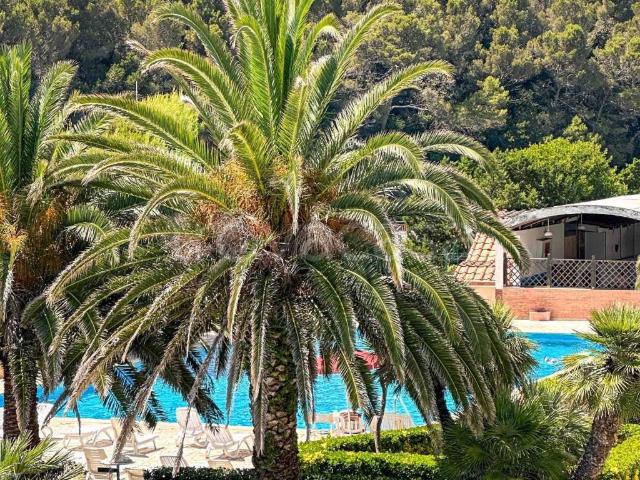 Appartamento in affitto a Rosignano Marittimo, arredato, posto auto, vista mare TrovaCasa