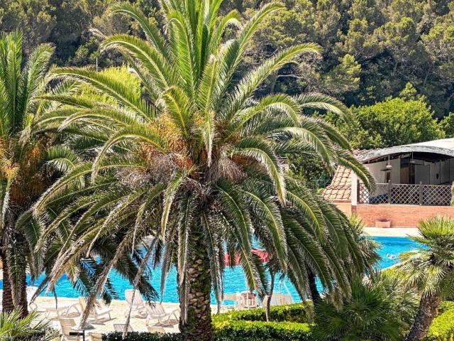 Appartamento in affitto a Rosignano Marittimo LI