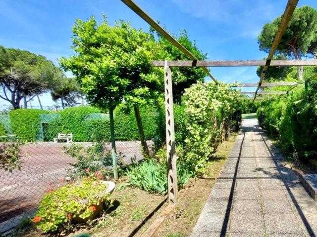 Appartamento in affitto a Rosignano Marittimo LI