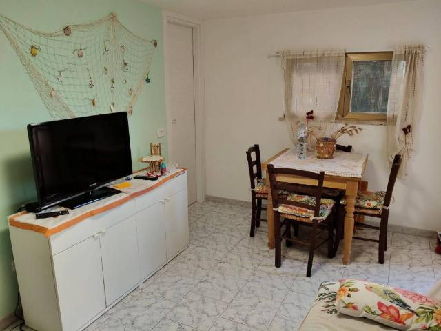 Appartamento in affitto a Rosignano Marittimo LI