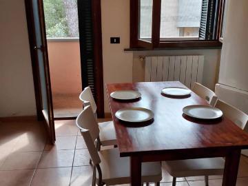 Appartamento in affitto a Rosignano Marittimo LI