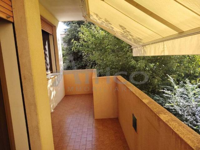 Appartamento in affitto a Rovigo RO
