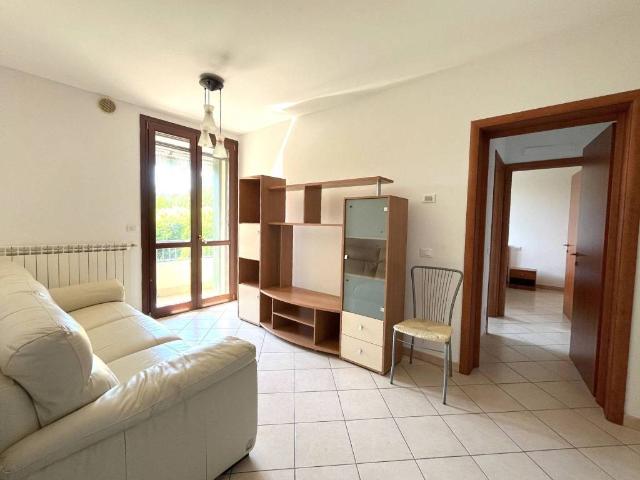 Appartamento in affitto a Rovigo RO