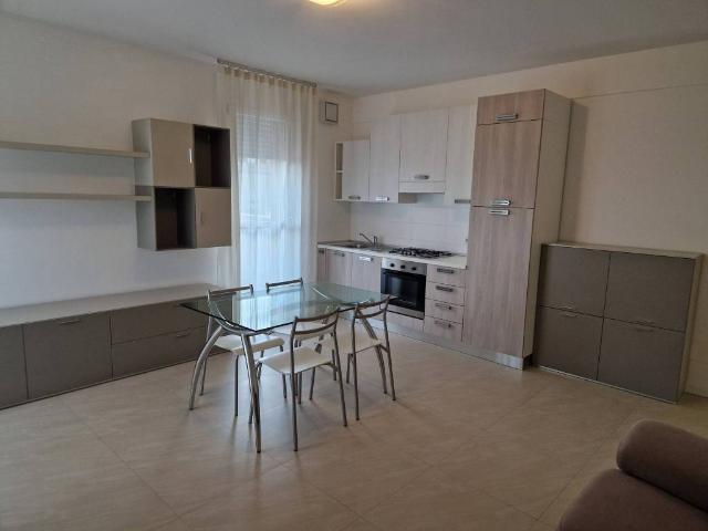 Appartamento in affitto a Rovigo RO