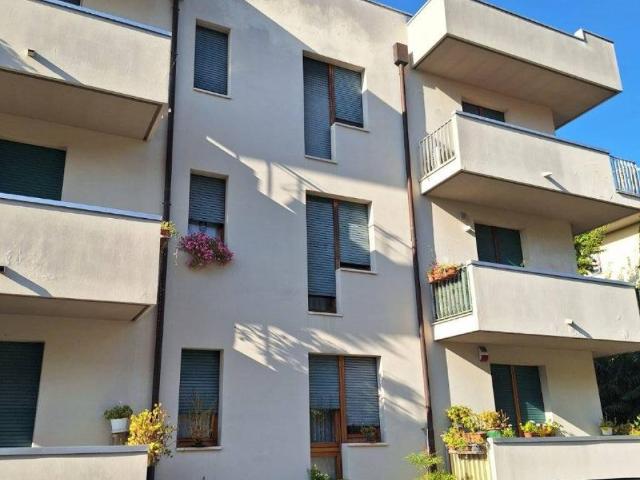 Appartamento in affitto a Rovigo RO