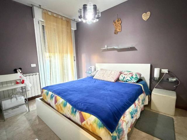 Appartamento in affitto a Rovigo RO