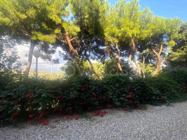 Appartamento in affitto a Stalettì, arredato, posto auto, vista panoramica TrovaCasa