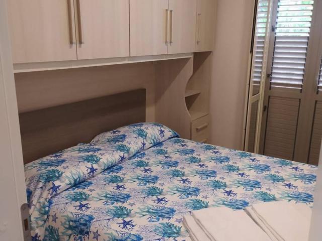 Appartamento in affitto a Stalettì CZ
