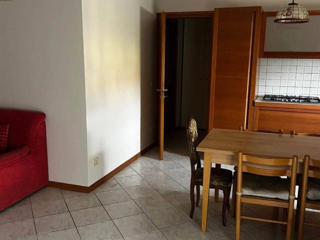 Appartamento in affitto a Suzzara MN